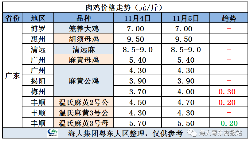 廣東雞價最新行情，心靈與自然的旅行交響曲