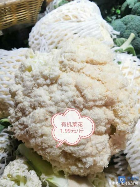 有機菜花價格最新行情，科技引領綠色生活新潮流趨勢